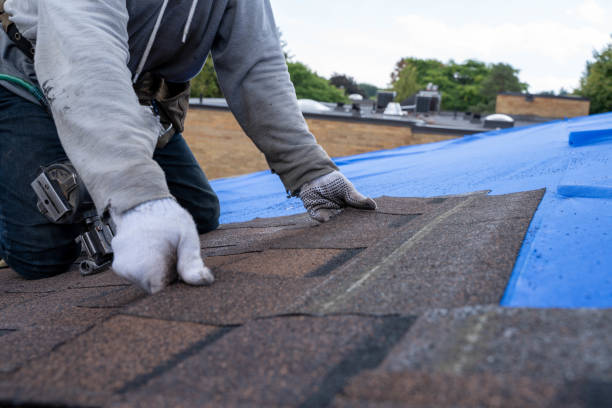 Best Tile Roofing Contractor  in Feather Sound, FL